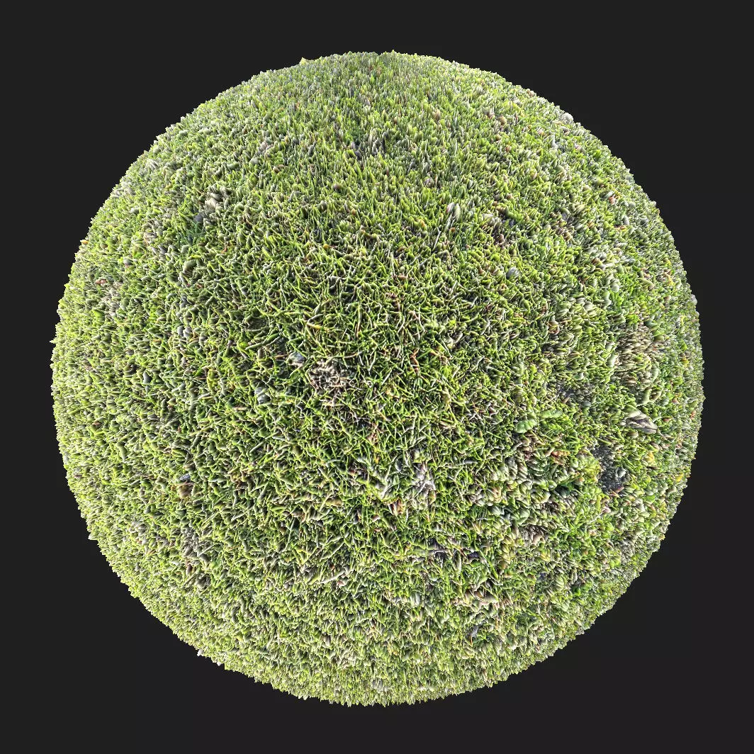 Grass PBR Material 3D model_0