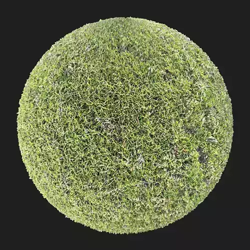Grass PBR Material