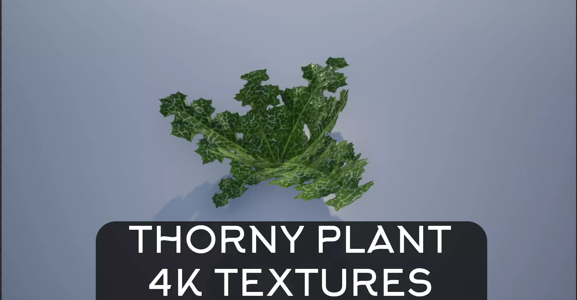 4K Thorny Cactus like Plant Lopwoly Low-poly 3D model