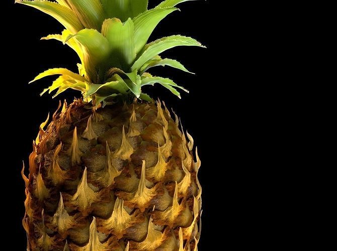 Pineapple Detailed Model 3D model