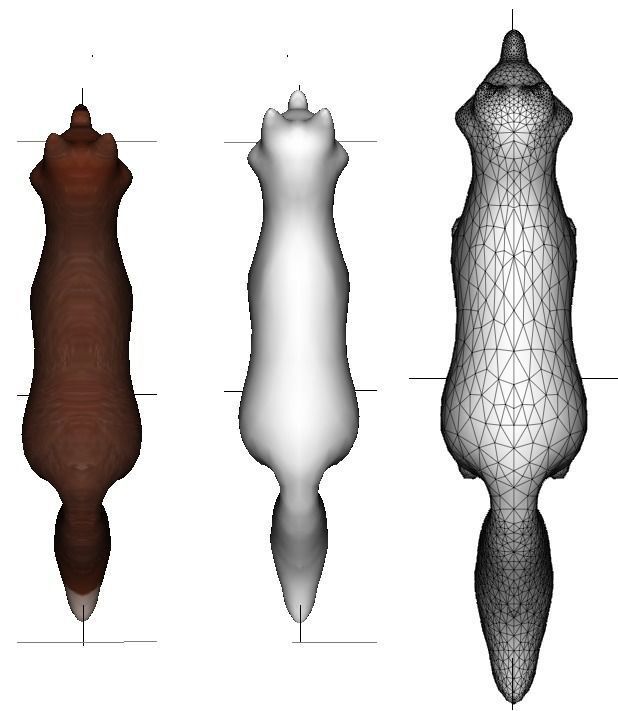 Handpainted Fox Low-poly 3D model_2