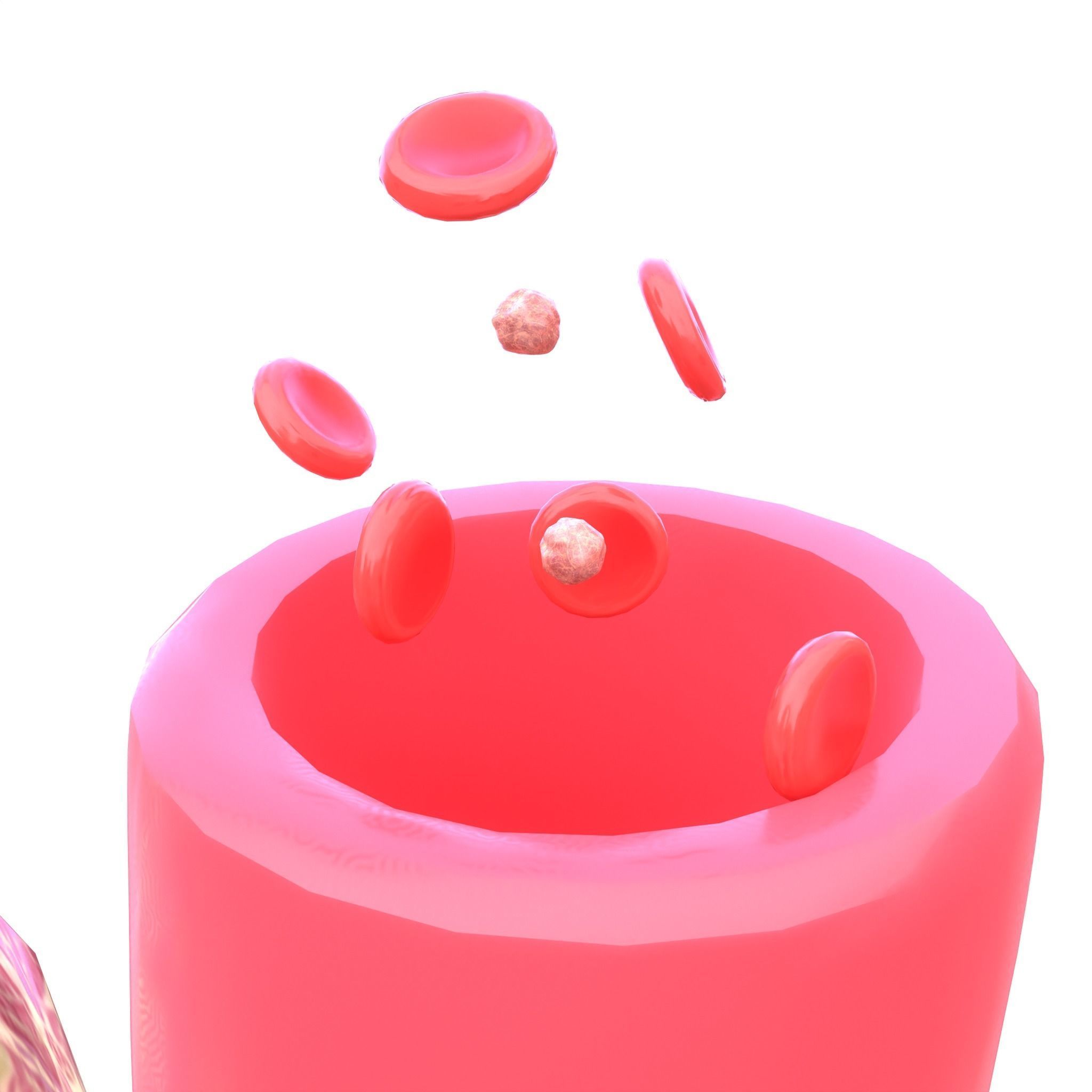 Tumor with Vessels Low-poly 3D model_8