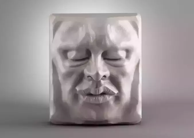 Face modern sculpture 3d print model 3D print model