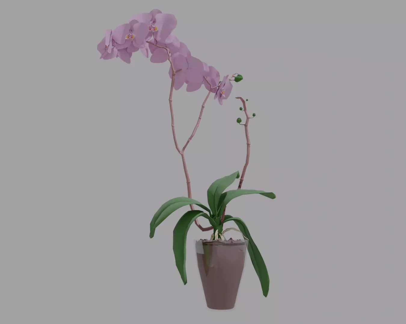 Free 3D Flower Model - Dense Topology Free 3D model