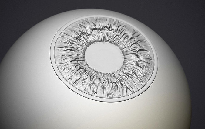 Human eye  3D print model