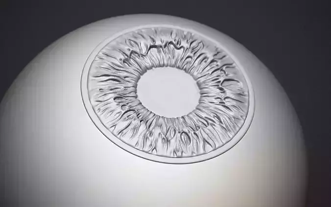 Human eye  3D print model
