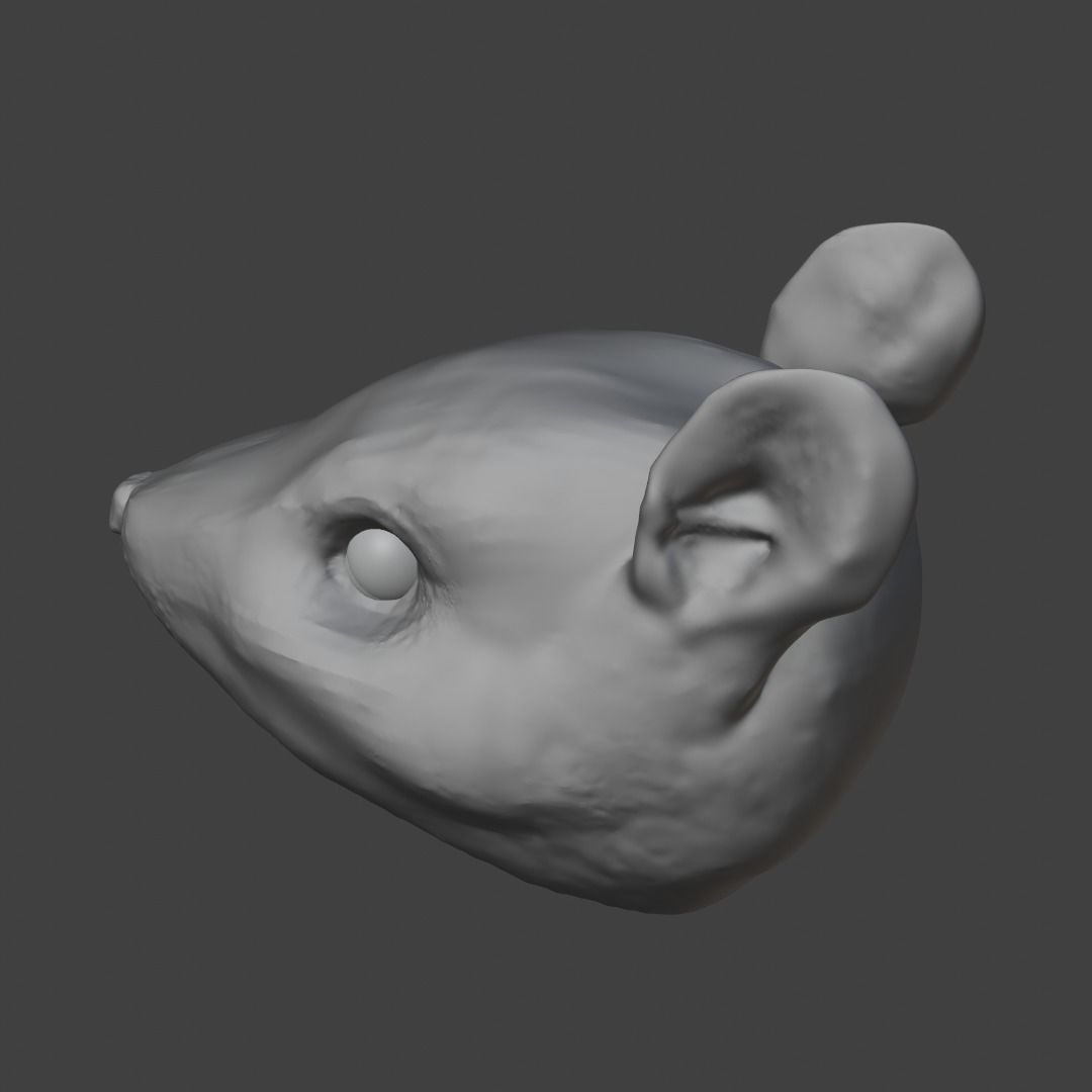 Rat Head 3D Model - Free High-Poly Sculpt Free 3D model_3