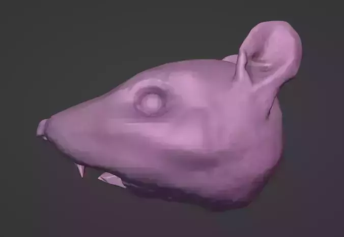 Rat Head 3D Model - Free High-Poly Sculpt