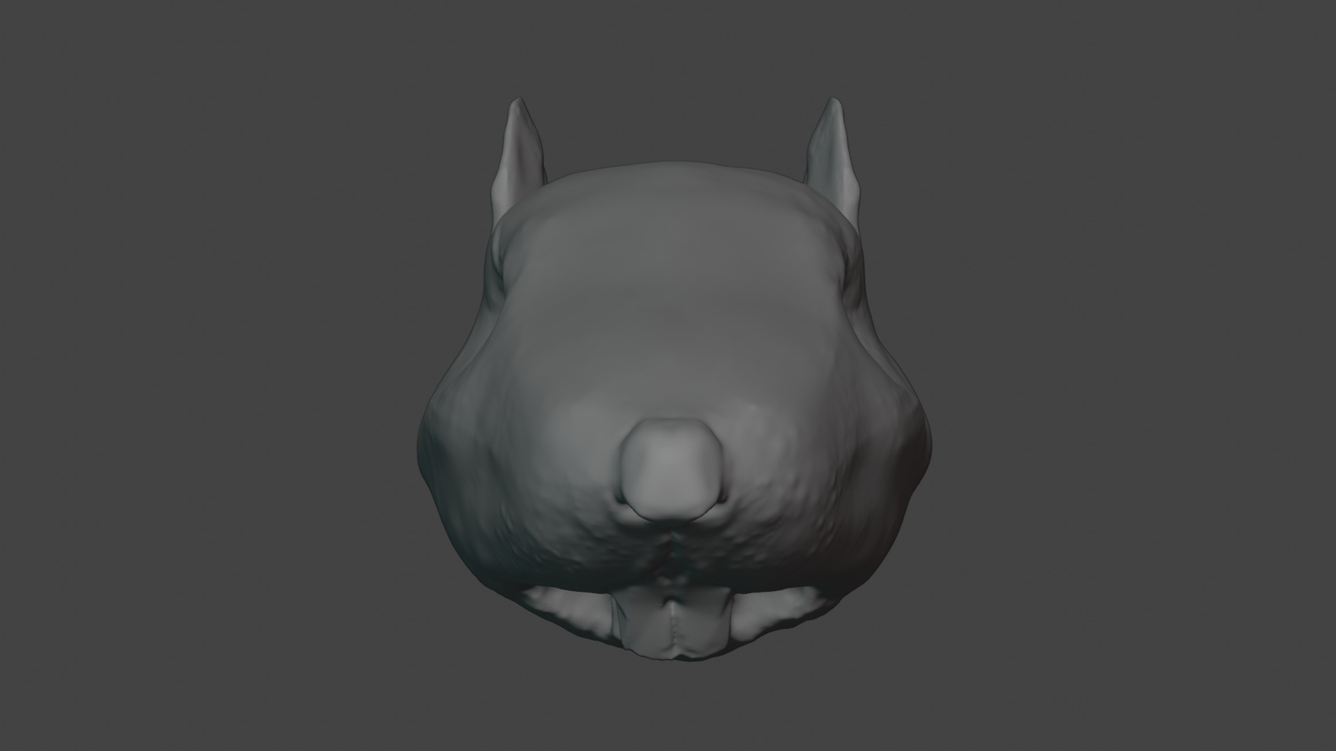 Rat Head 3D Model - Free High-Poly Sculpt Free 3D model_7