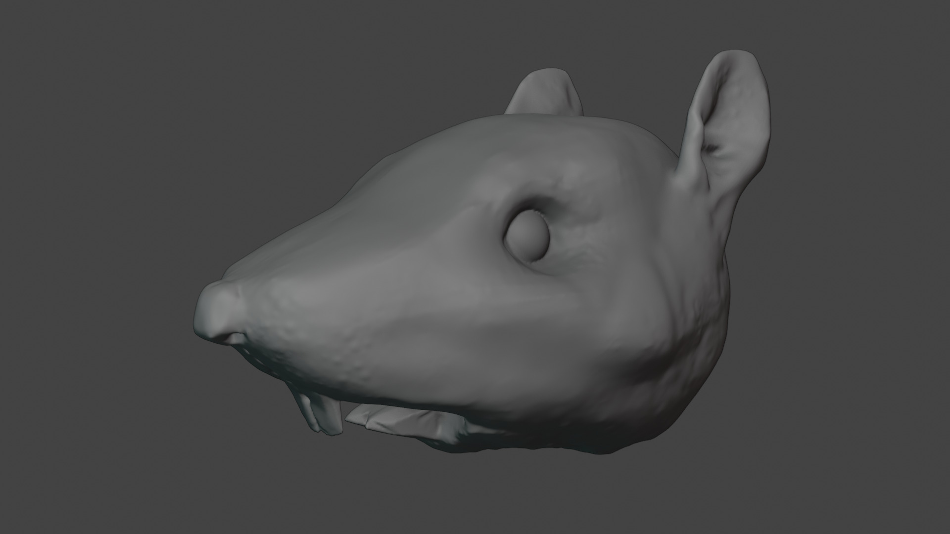 Rat Head 3D Model - Free High-Poly Sculpt Free 3D model_4