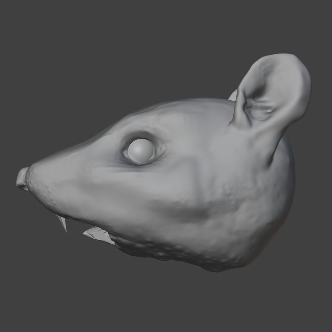Rat Head 3D Model - Free High-Poly Sculpt Free 3D model_1