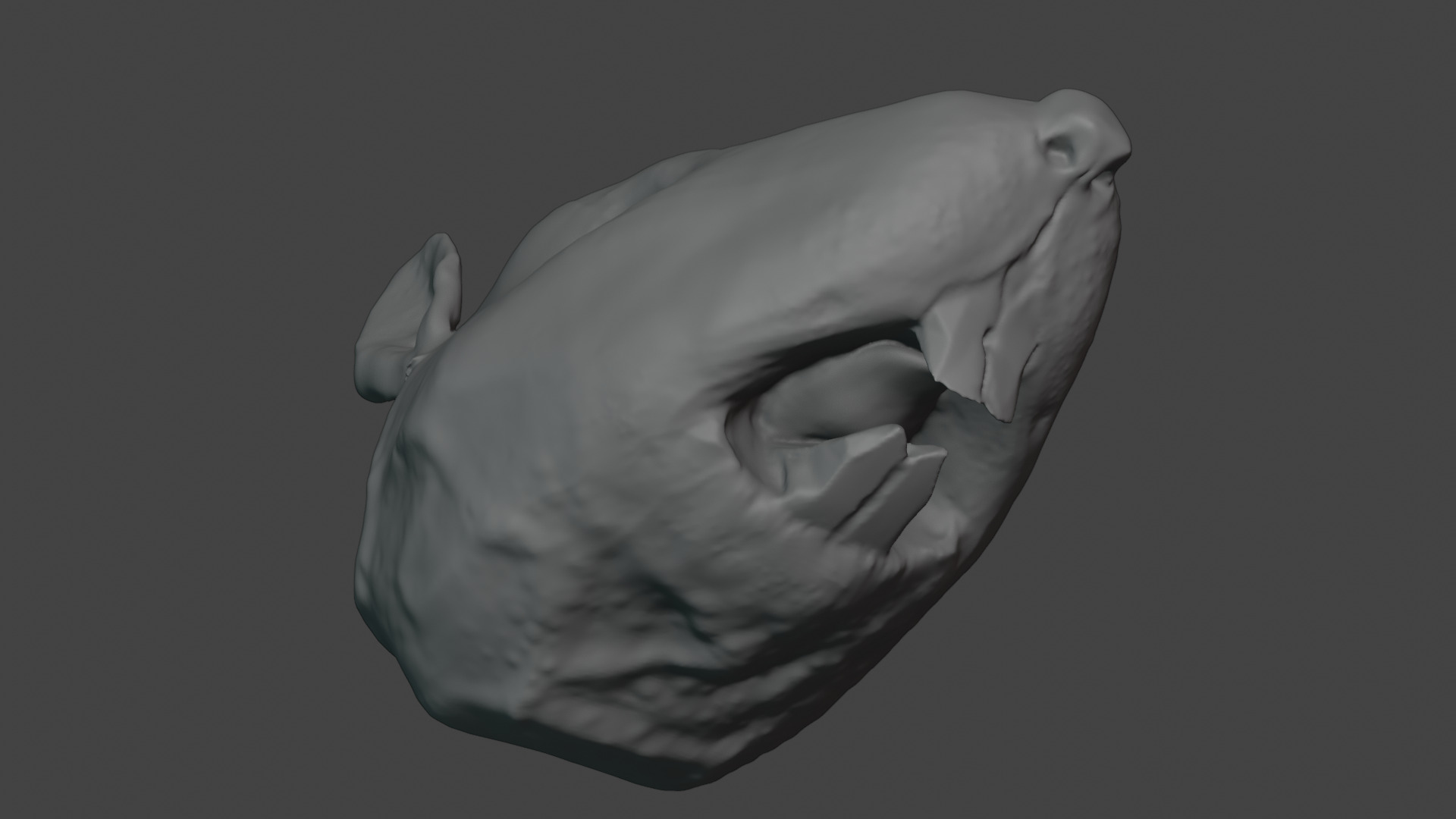 Rat Head 3D Model - Free High-Poly Sculpt Free 3D model_6