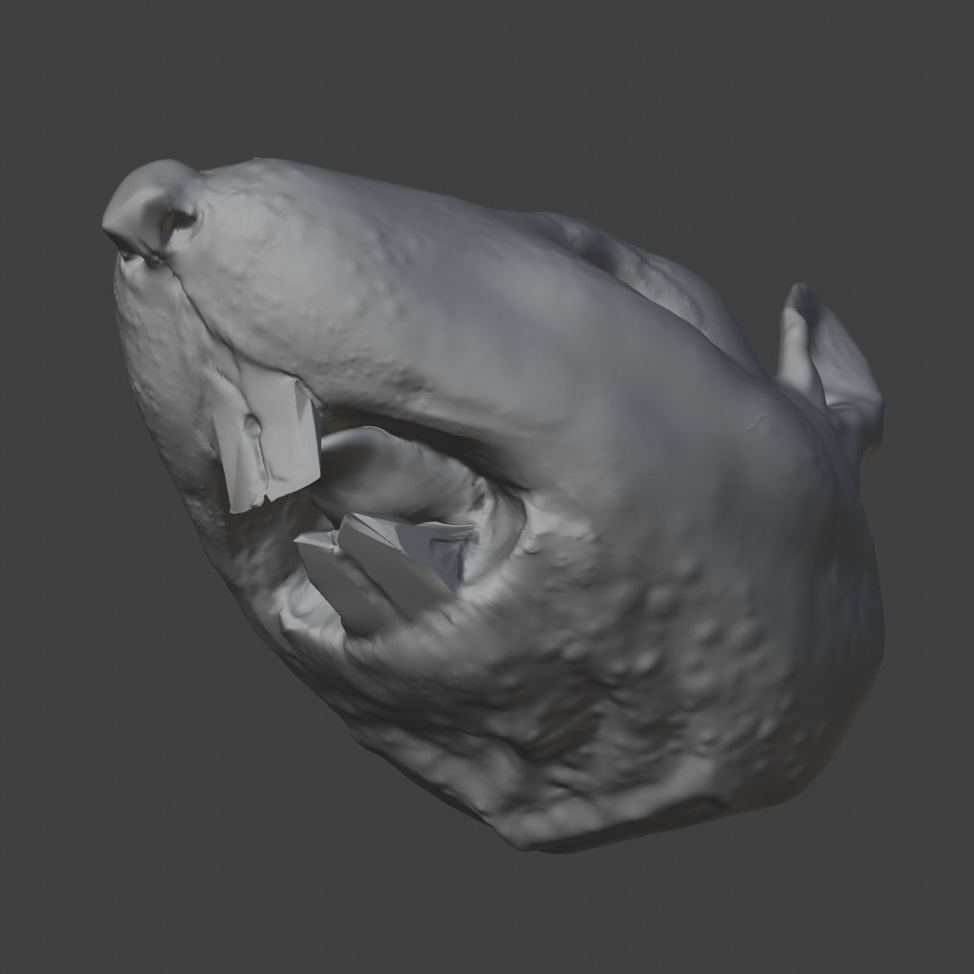 Rat Head 3D Model - Free High-Poly Sculpt Free 3D model_2