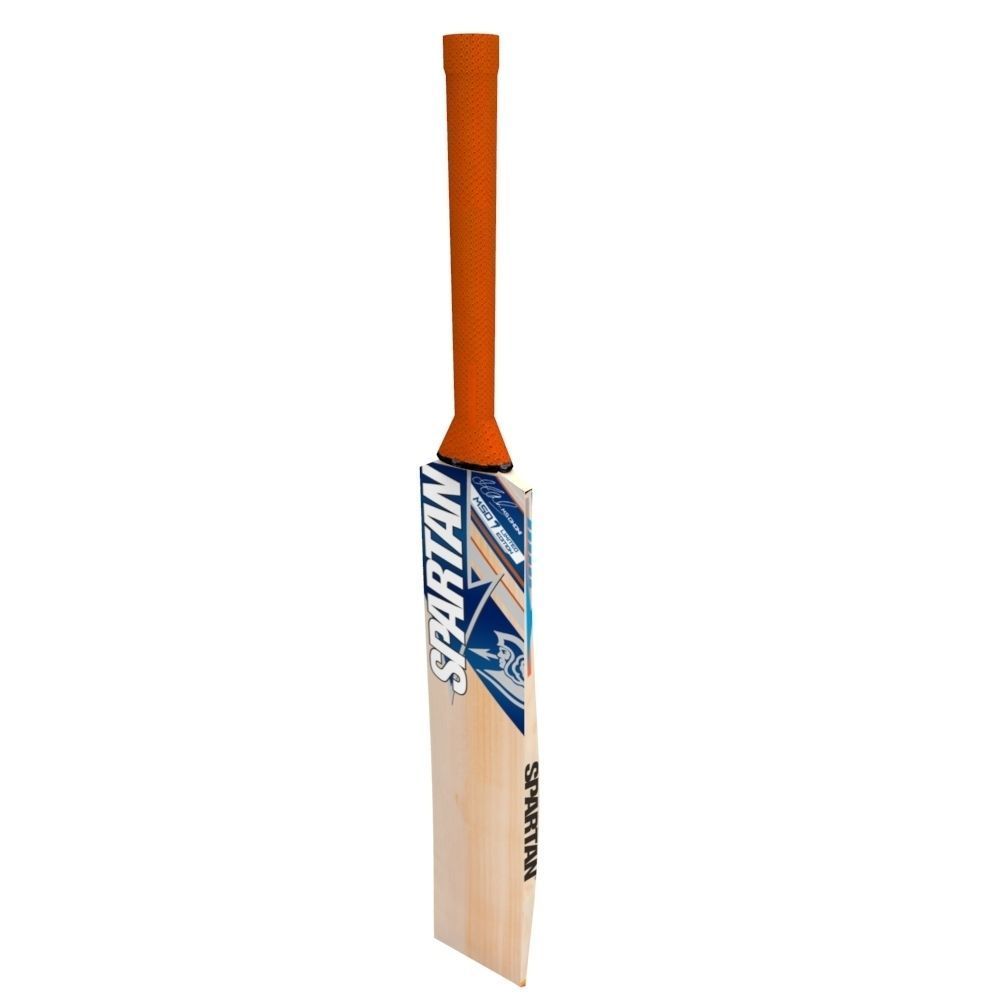 Cricket Bat Low-poly 3D model_3