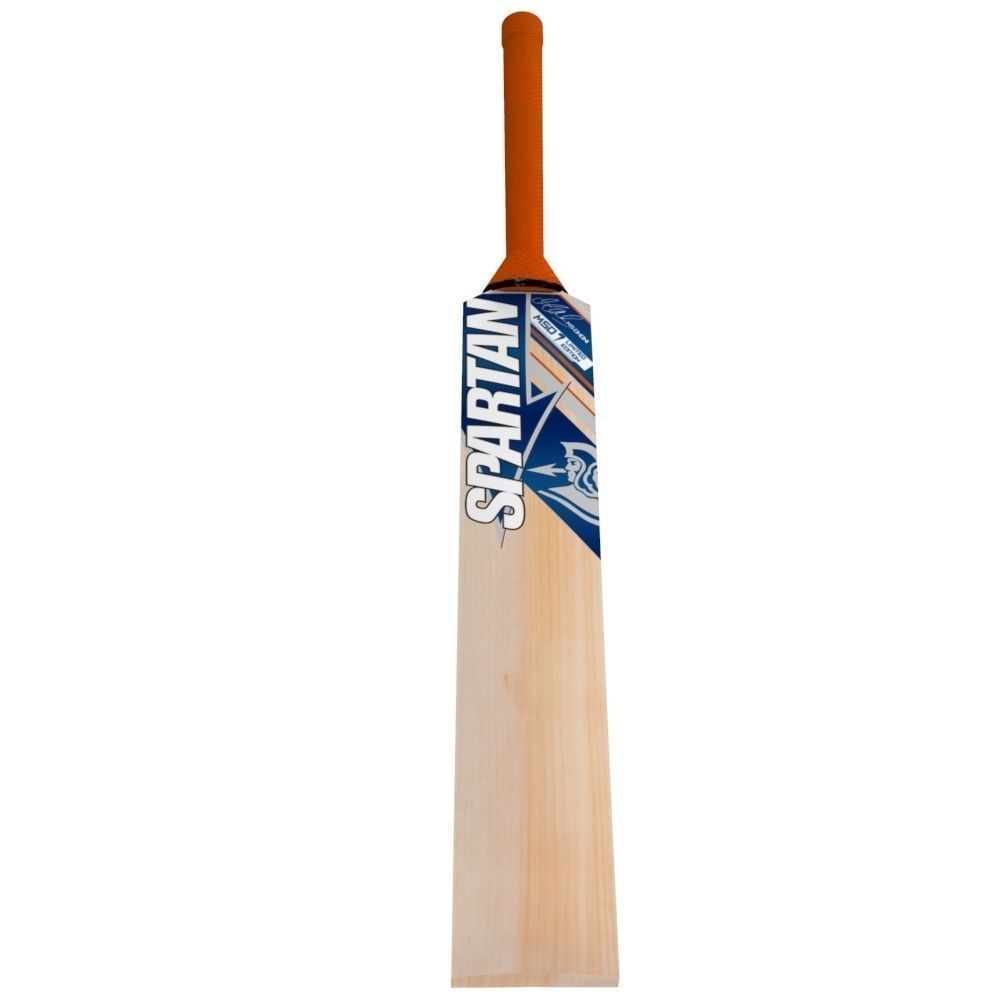 Cricket Bat Low-poly 3D model_2
