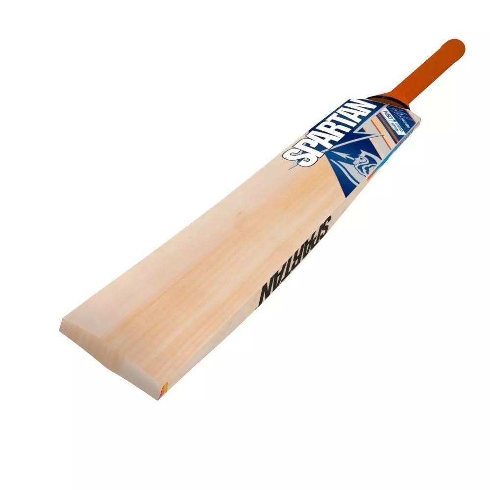 Cricket Bat Low-poly 3D model_0