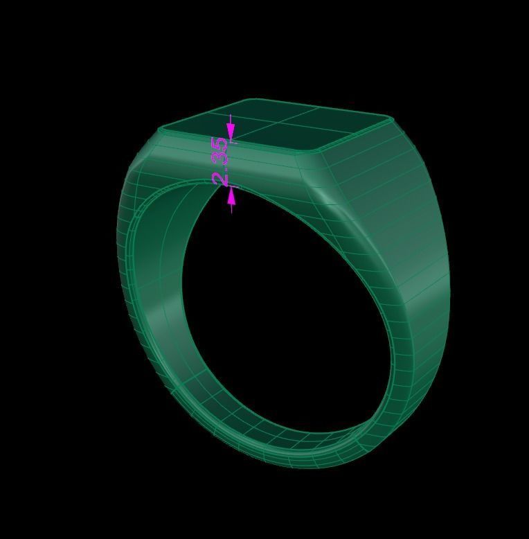 Signet Ring Rounded Shank Low Profile Mix Size 3D print model_13