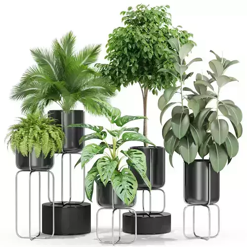 Plants collection 430 3D model