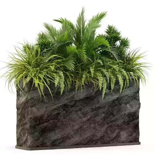 Plants collection 431