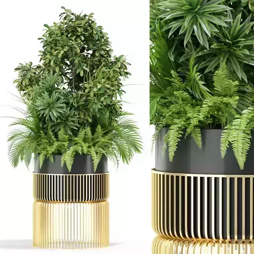 Plants collection 432