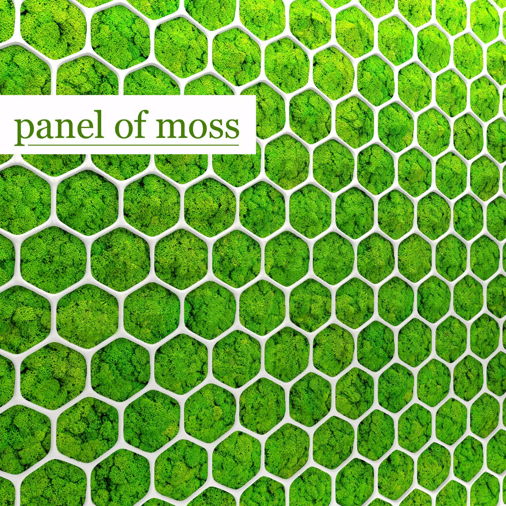 Fytowall moss 3D 2 3D model_0