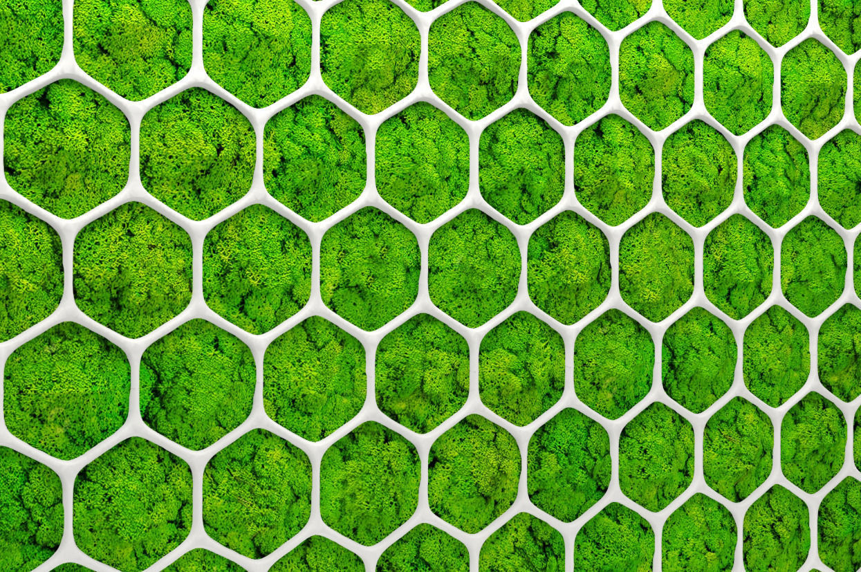 Fytowall moss 3D 2 3D model_6