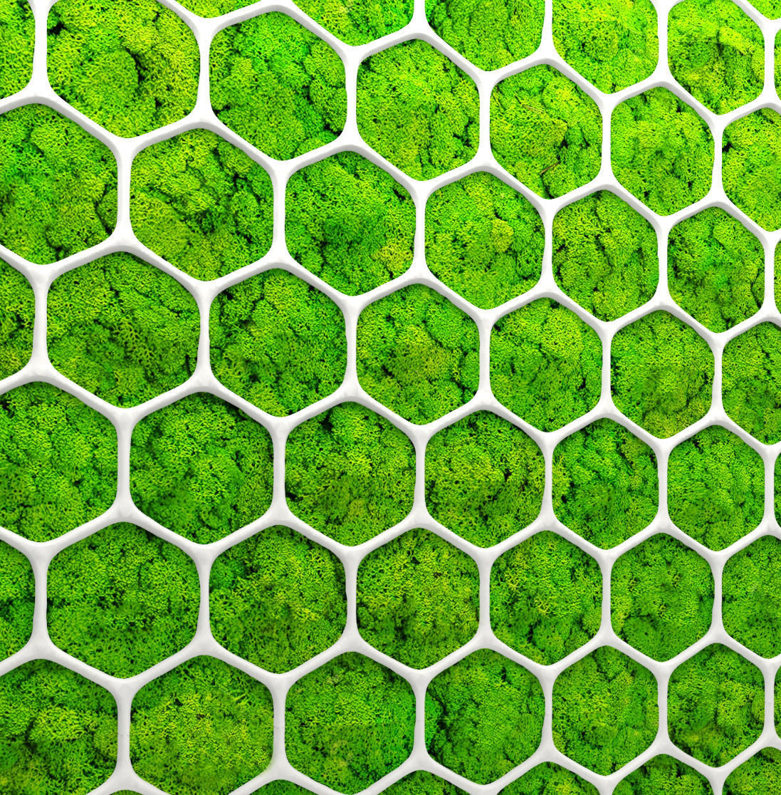 Fytowall moss 3D 2 3D model_3