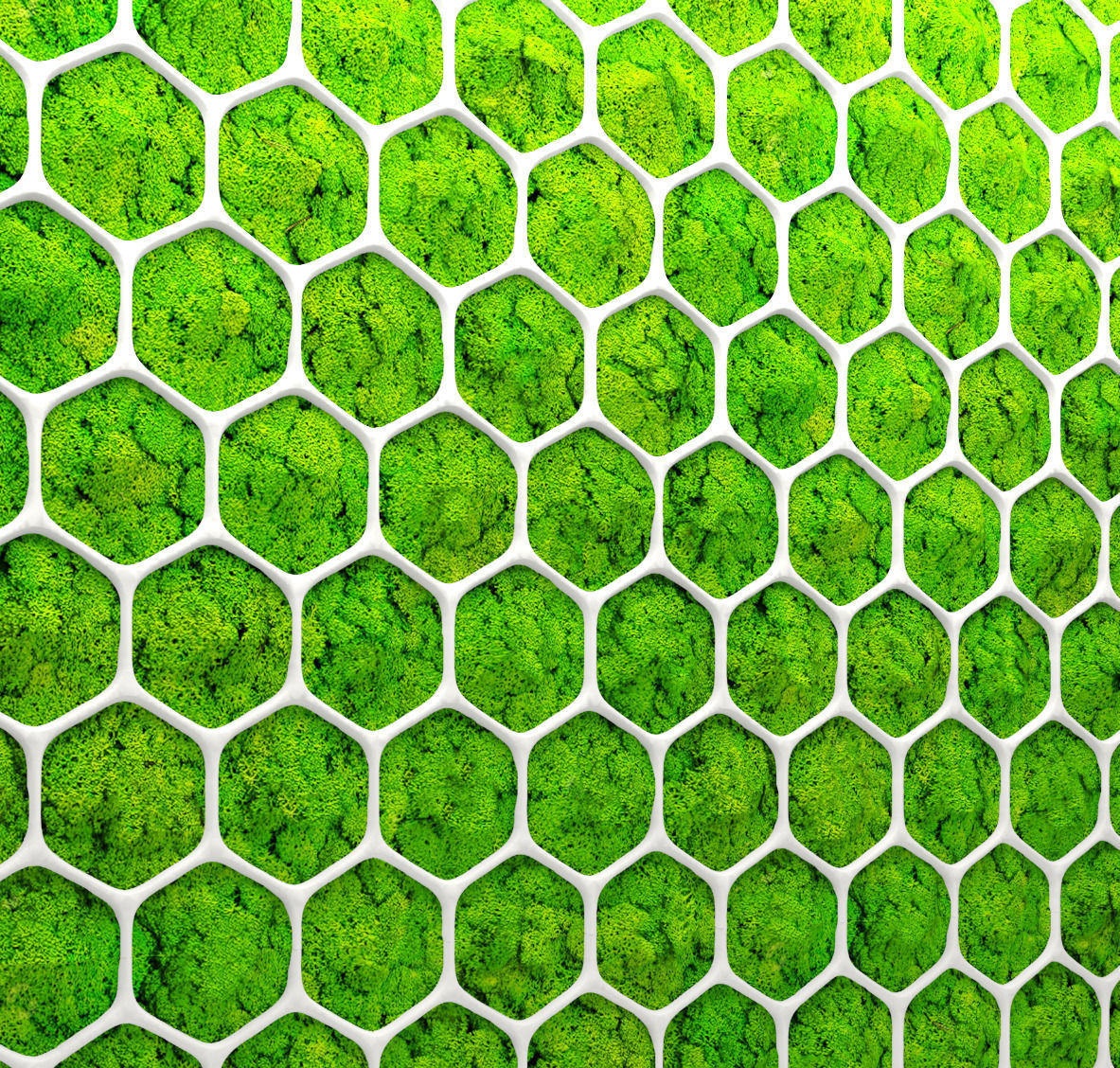 Fytowall moss 3D 2 3D model_2