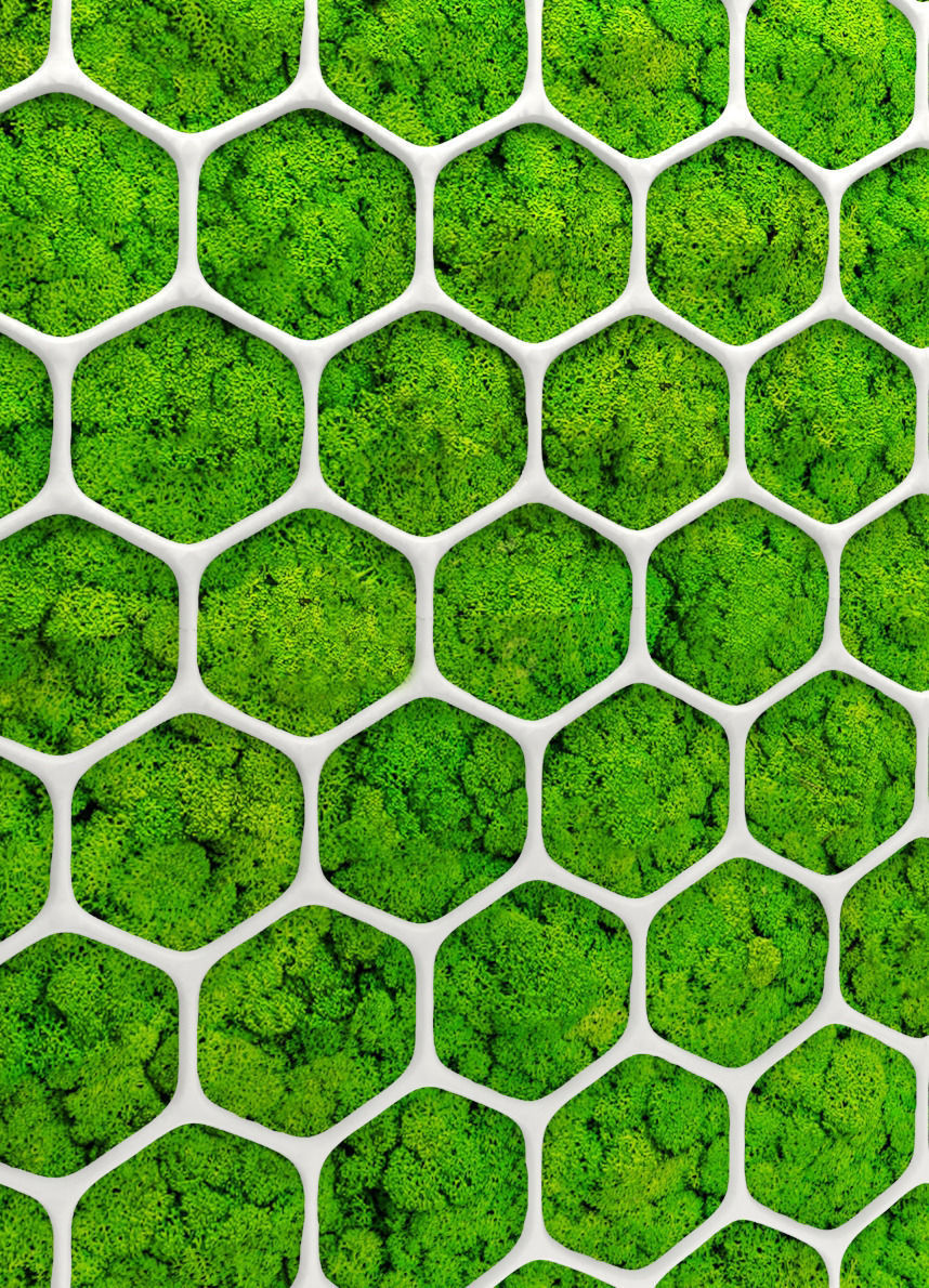 Fytowall moss 3D 2 3D model_1