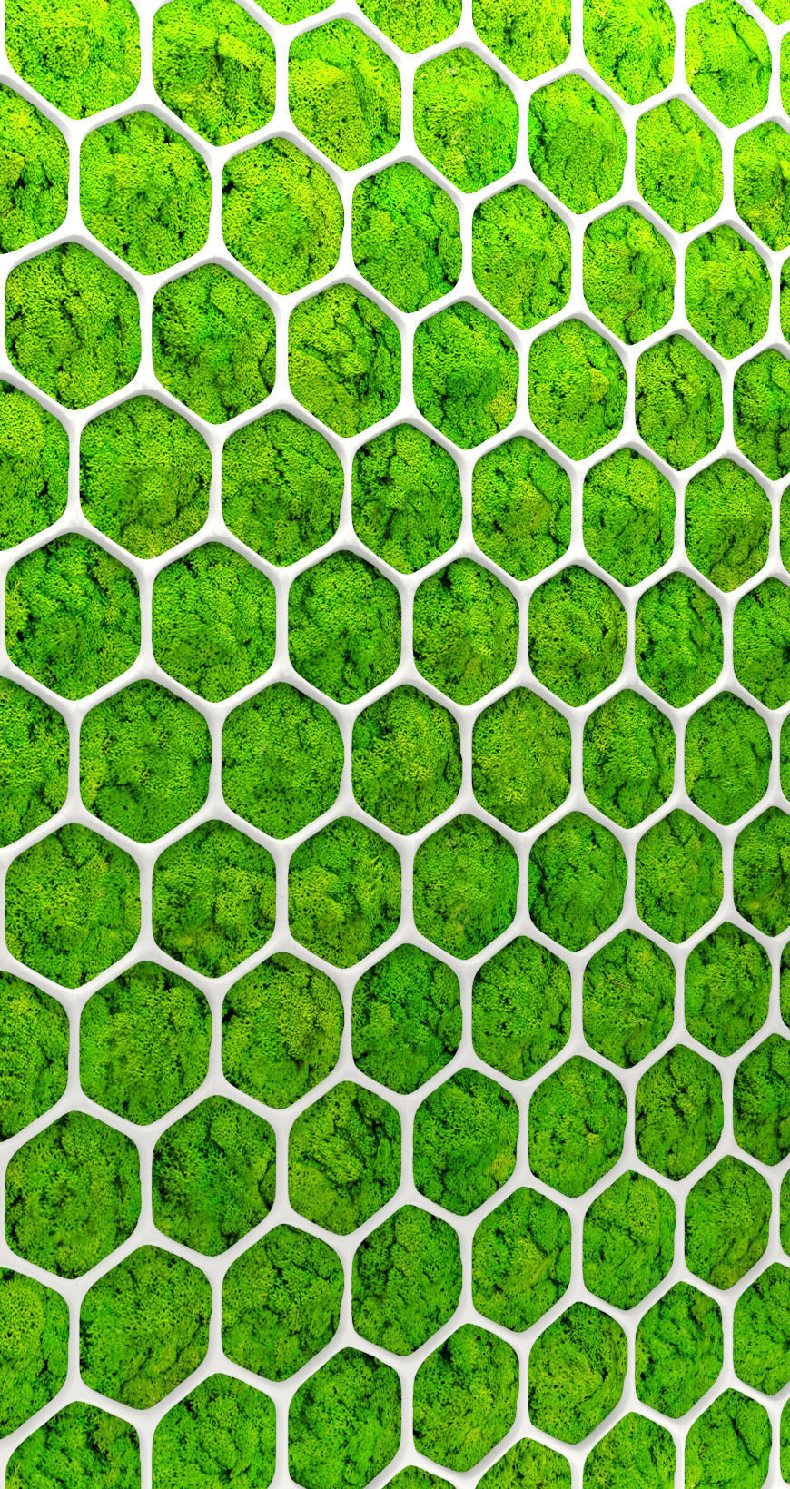 Fytowall moss 3D 2 3D model_7