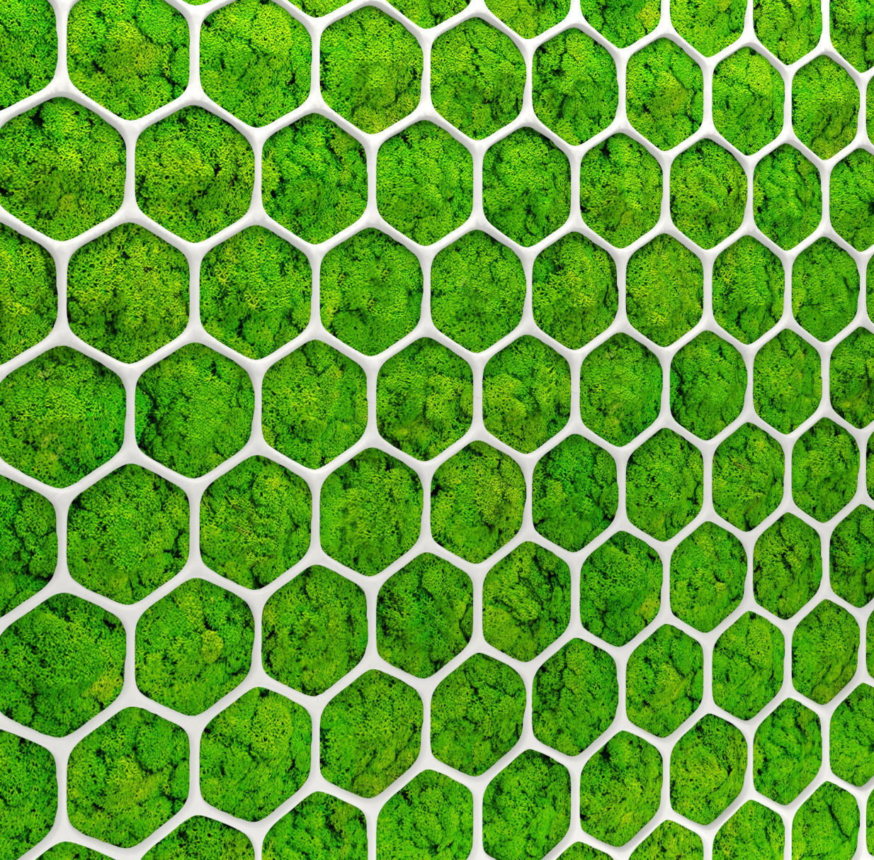 Fytowall moss 3D 2 3D model_5