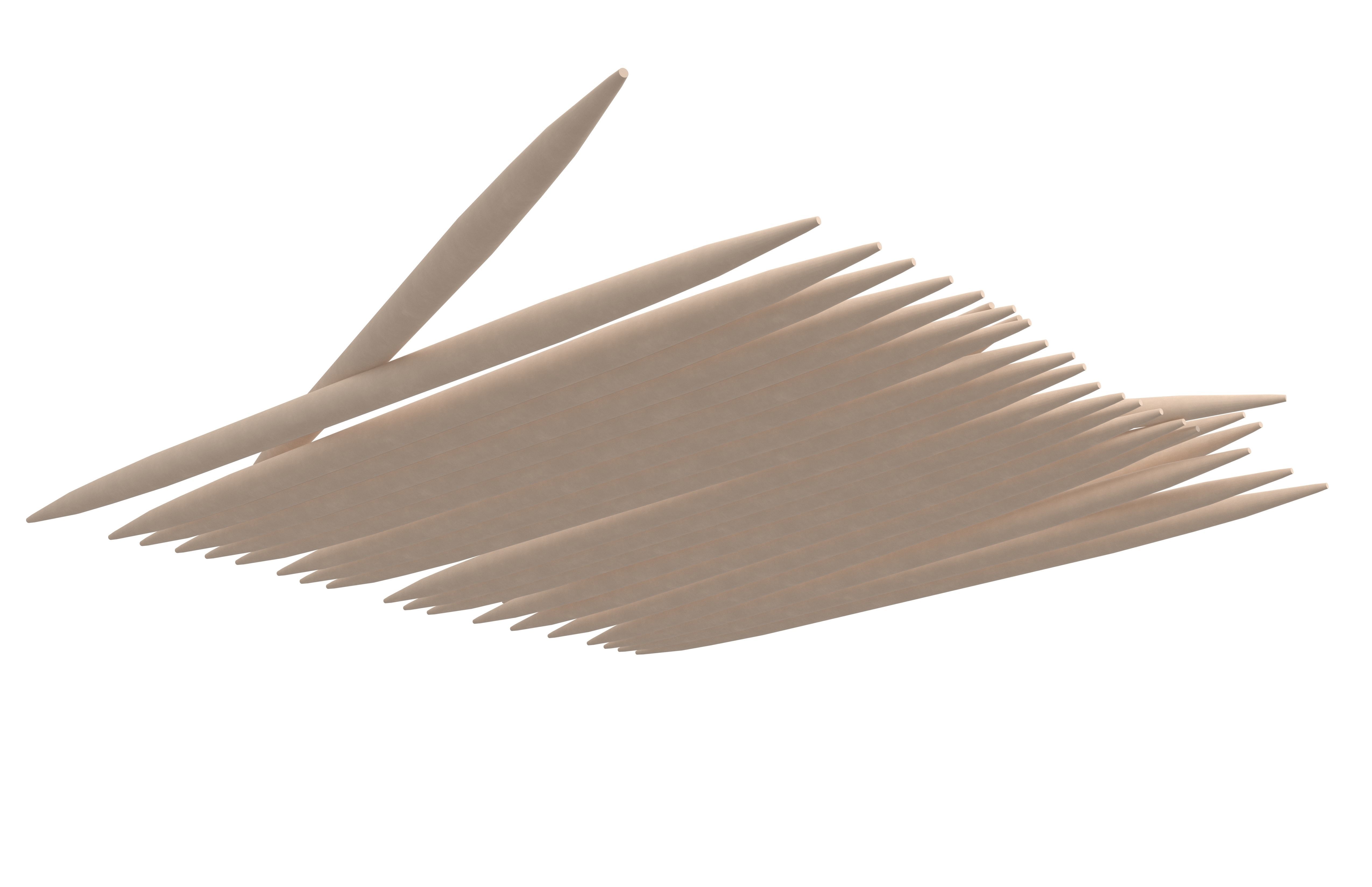Toothpick v3 001 Low-poly 3D model_4