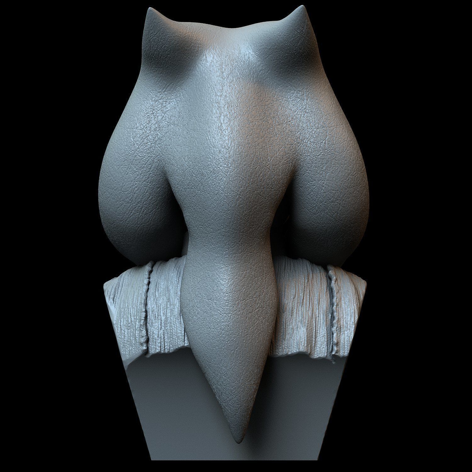 Rosario Dawson as Ahsoka Tano 3D print model_11