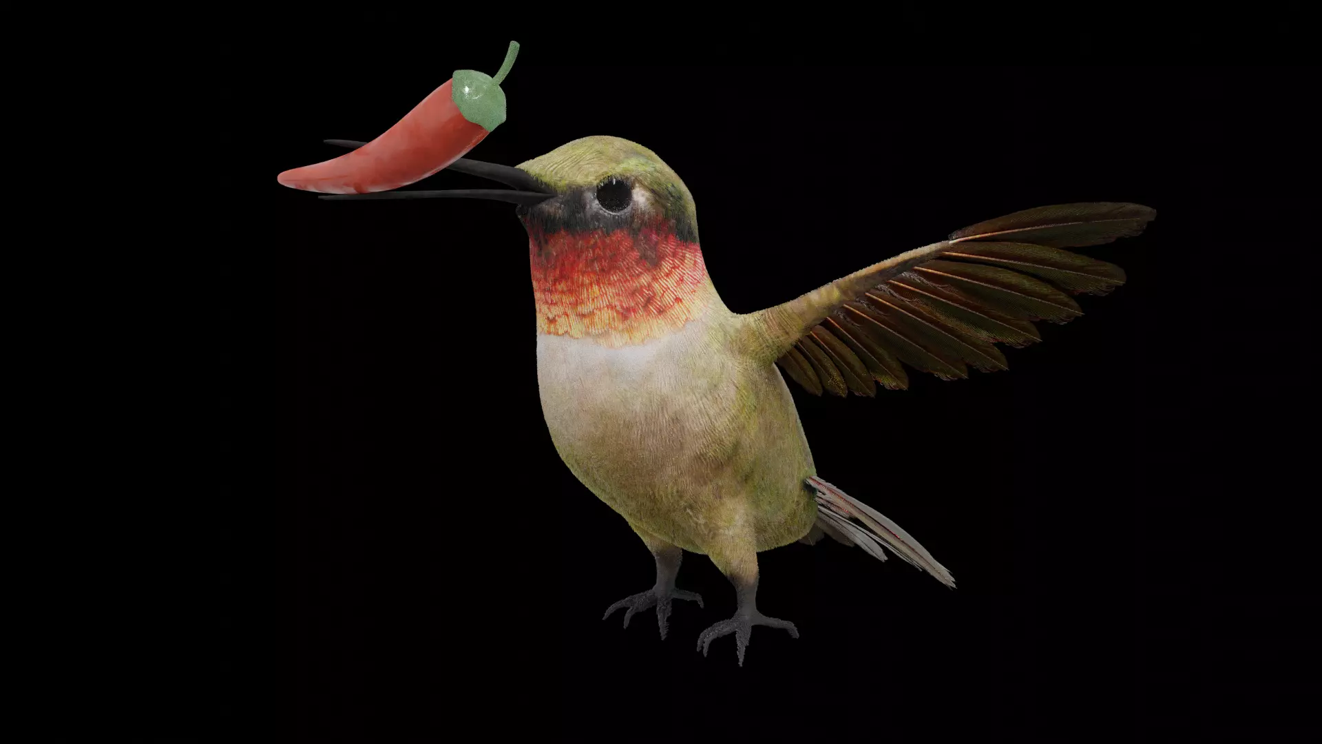 Humming Bird 3D model