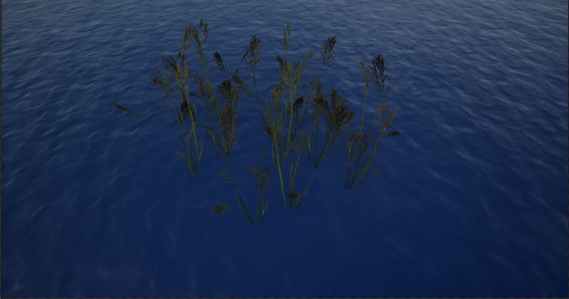 4K Lake Weed Plant Lowpoly Low-poly 3D model_7