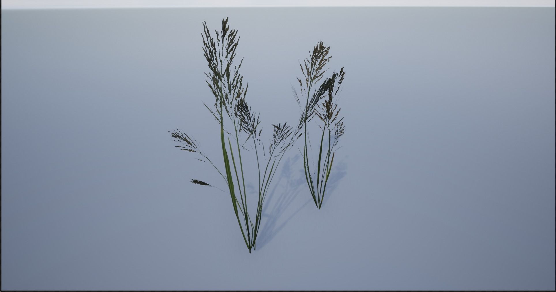 4K Lake Weed Plant Lowpoly Low-poly 3D model_3