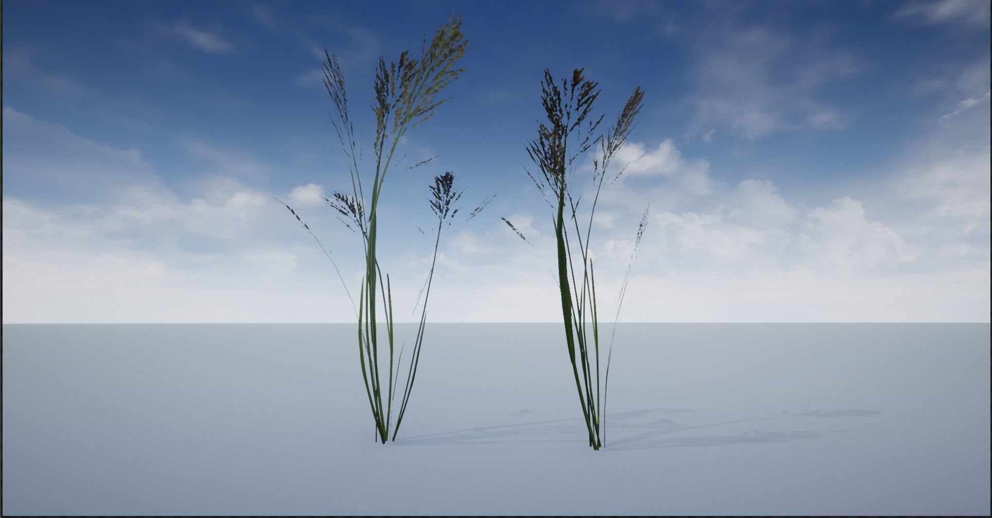 4K Lake Weed Plant Lowpoly Low-poly 3D model_12