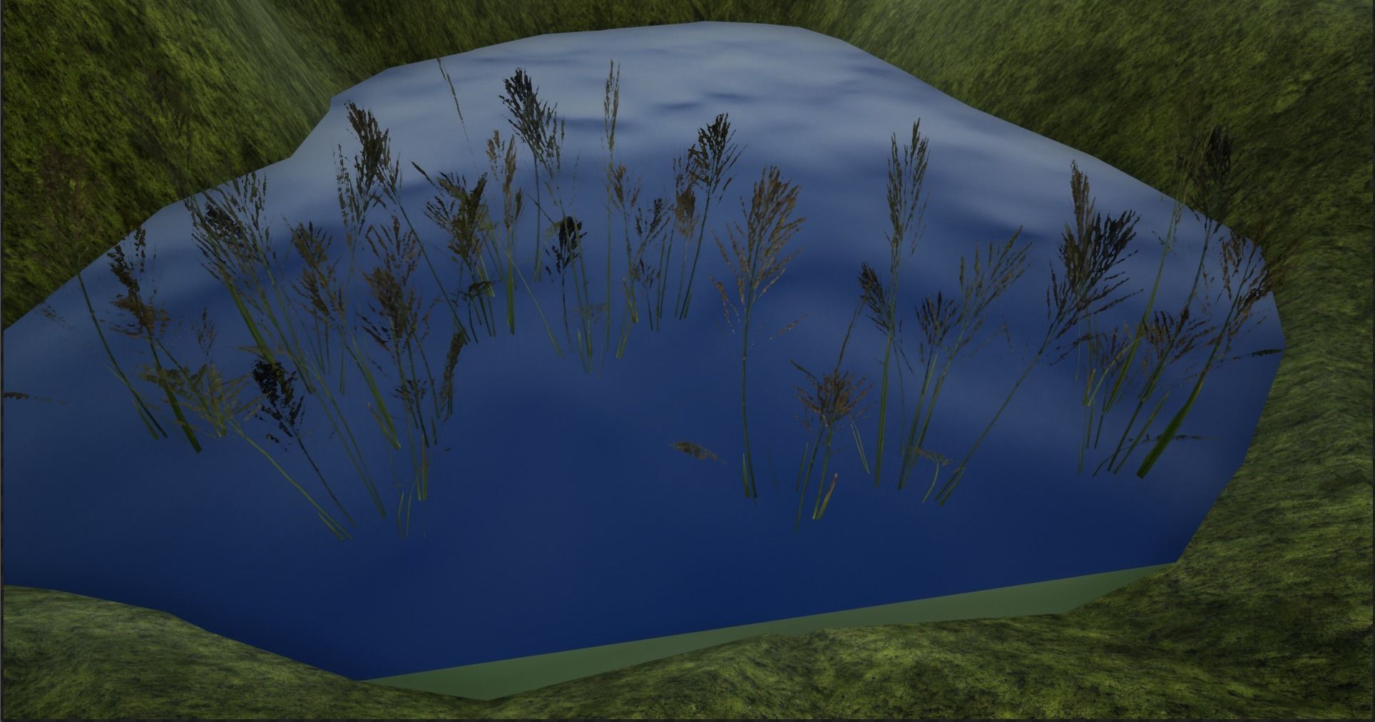 4K Lake Weed Plant Lowpoly Low-poly 3D model_16