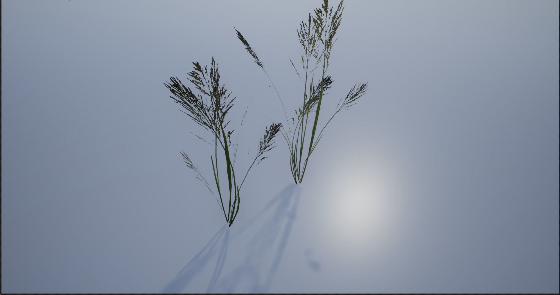 4K Lake Weed Plant Lowpoly Low-poly 3D model_15