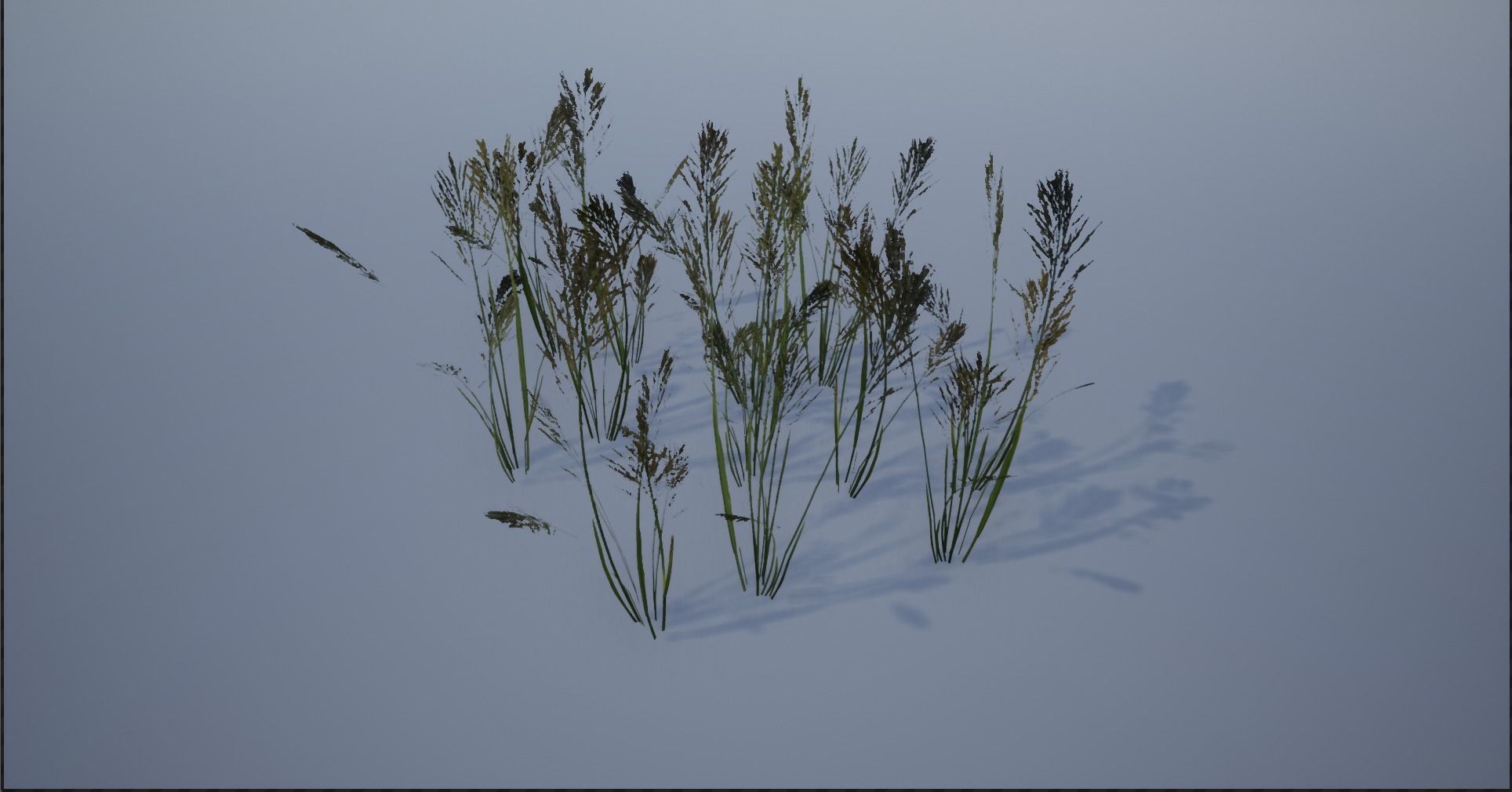 4K Lake Weed Plant Lowpoly Low-poly 3D model_10