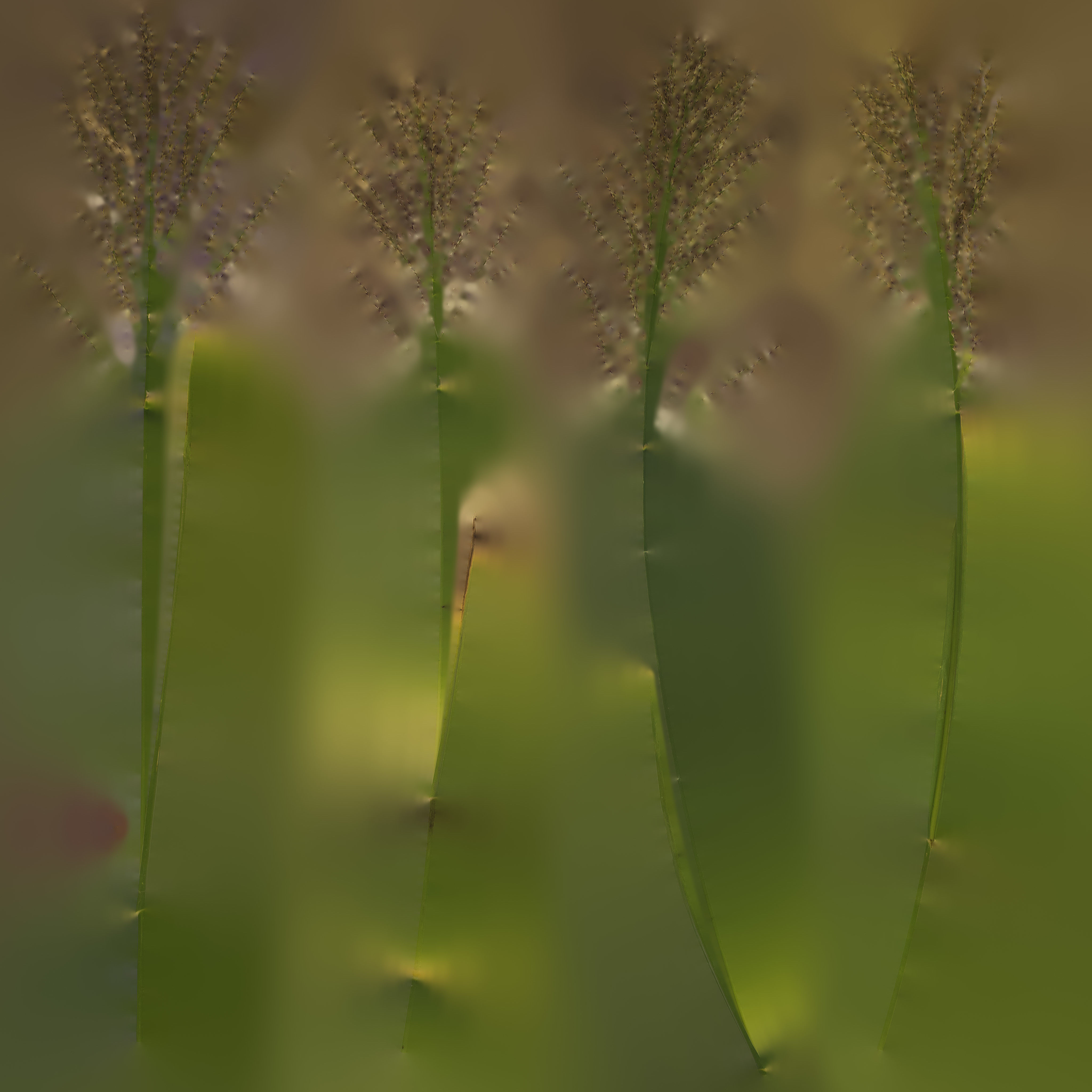 4K Lake Weed Plant Lowpoly Low-poly 3D model_21