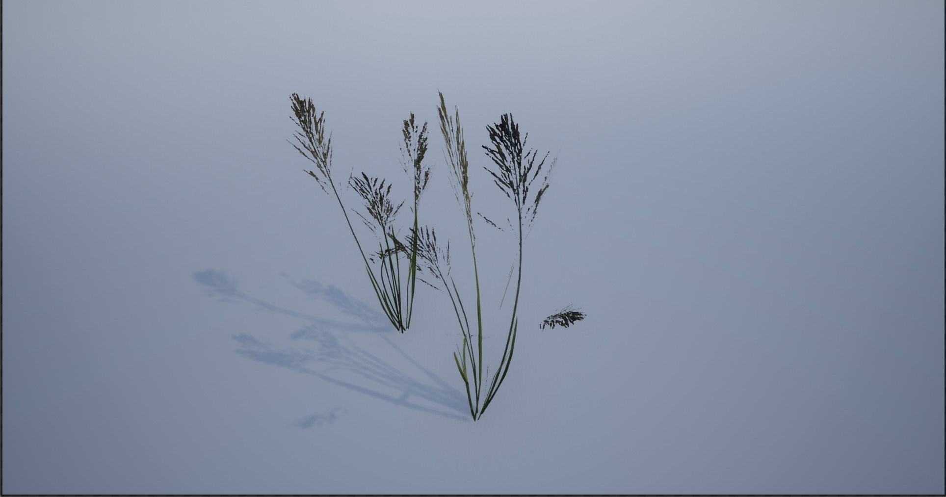 4K Lake Weed Plant Lowpoly Low-poly 3D model_2