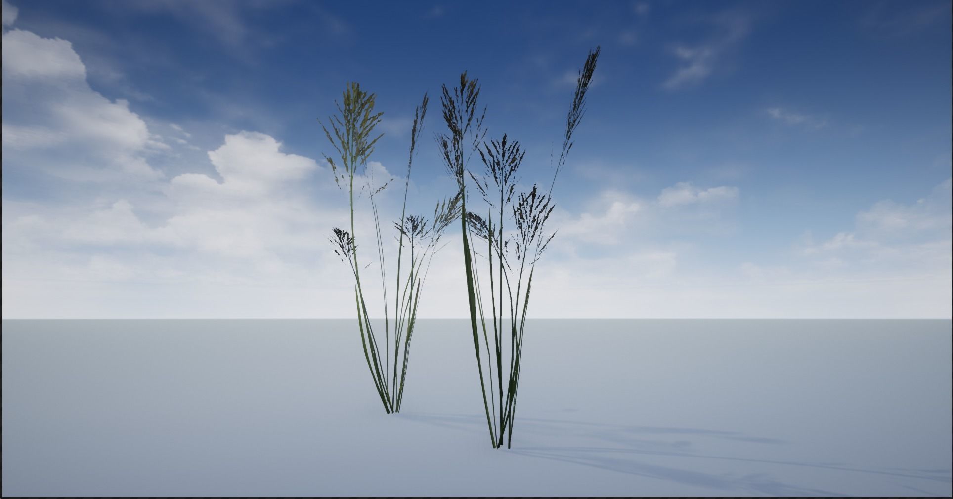 4K Lake Weed Plant Lowpoly Low-poly 3D model_13