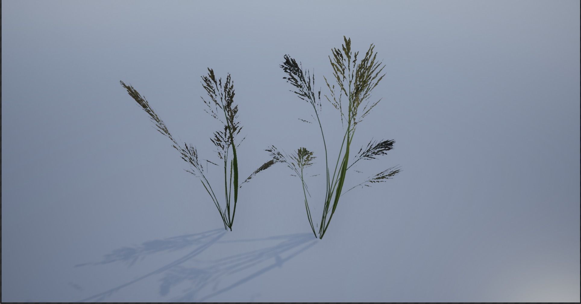 4K Lake Weed Plant Lowpoly Low-poly 3D model_1