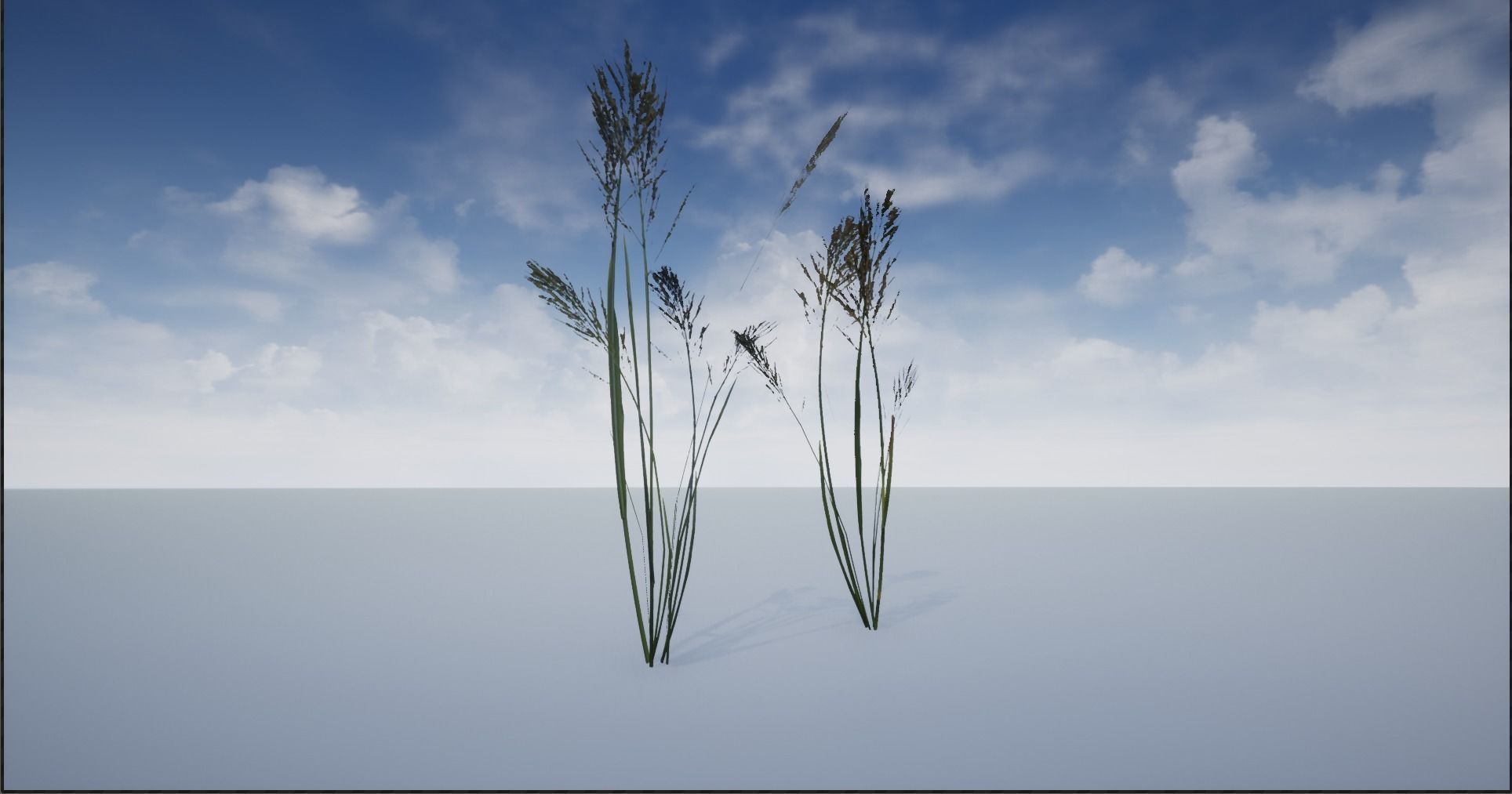 4K Lake Weed Plant Lowpoly Low-poly 3D model_11