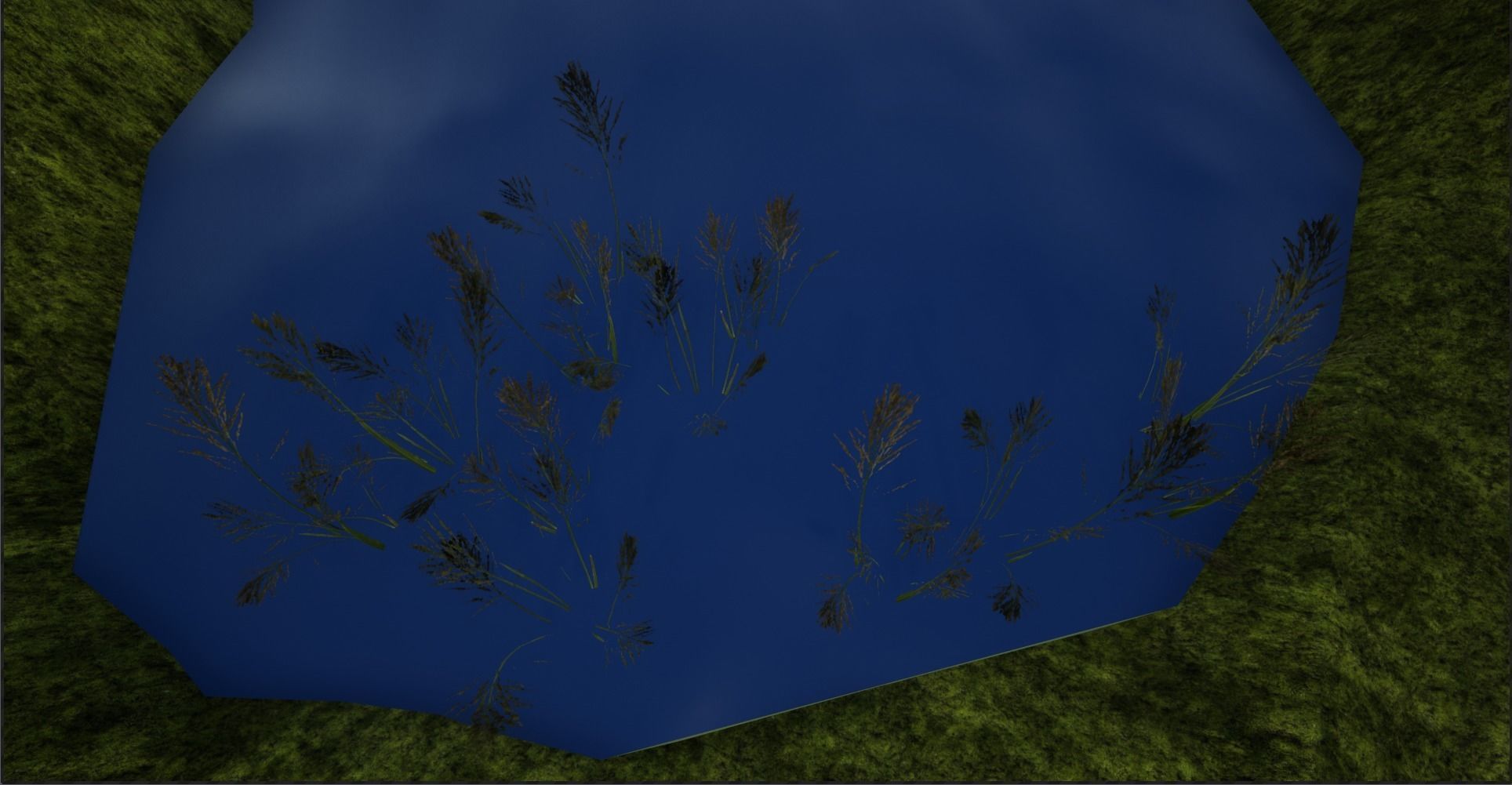 4K Lake Weed Plant Lowpoly Low-poly 3D model_19