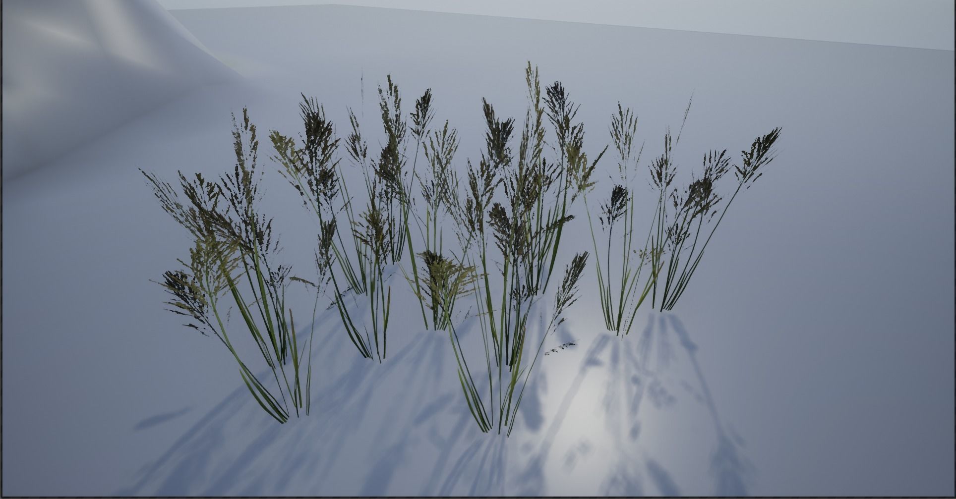 4K Lake Weed Plant Lowpoly Low-poly 3D model_8