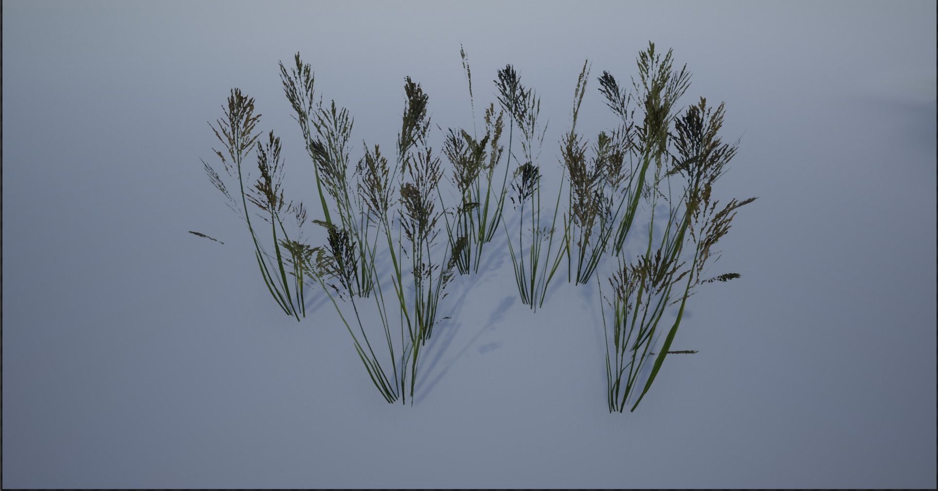 4K Lake Weed Plant Lowpoly Low-poly 3D model_9
