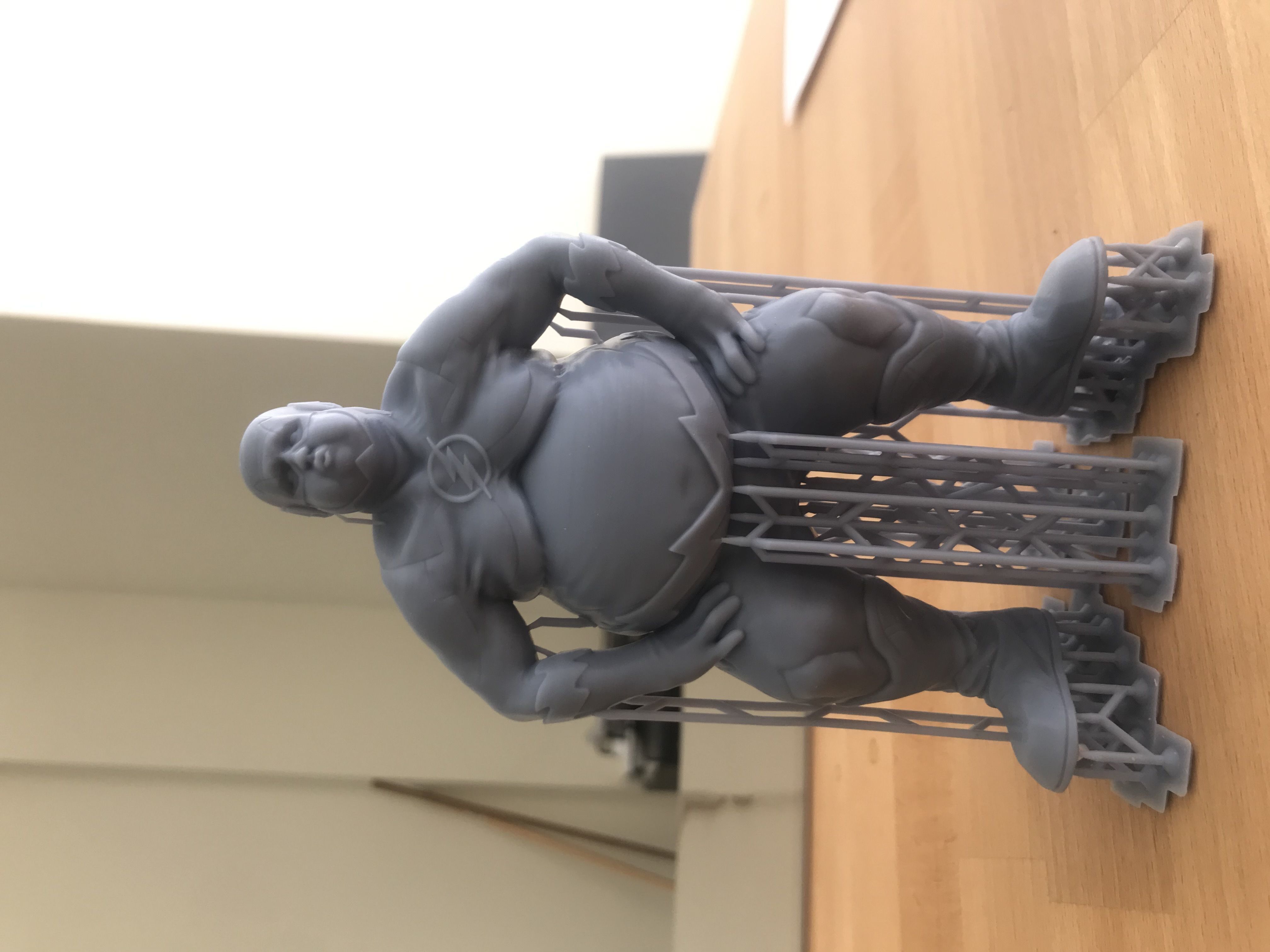 Flash Retired 3D print model_5