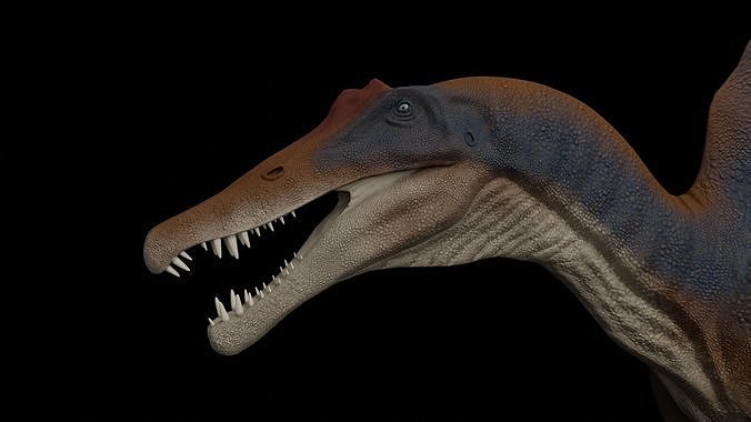 Spinosaurus aegyptiacus Low-poly 3D model